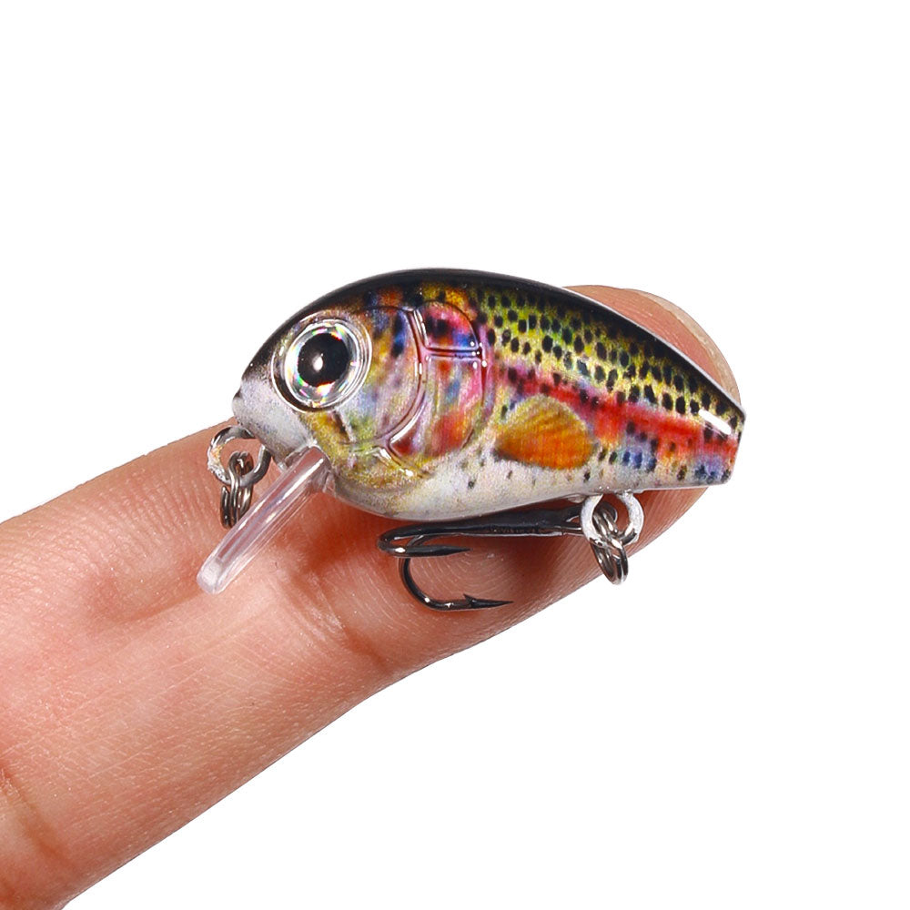 5PCS Set 2.8CM 2G HENGJIA Small Crankbait Kits