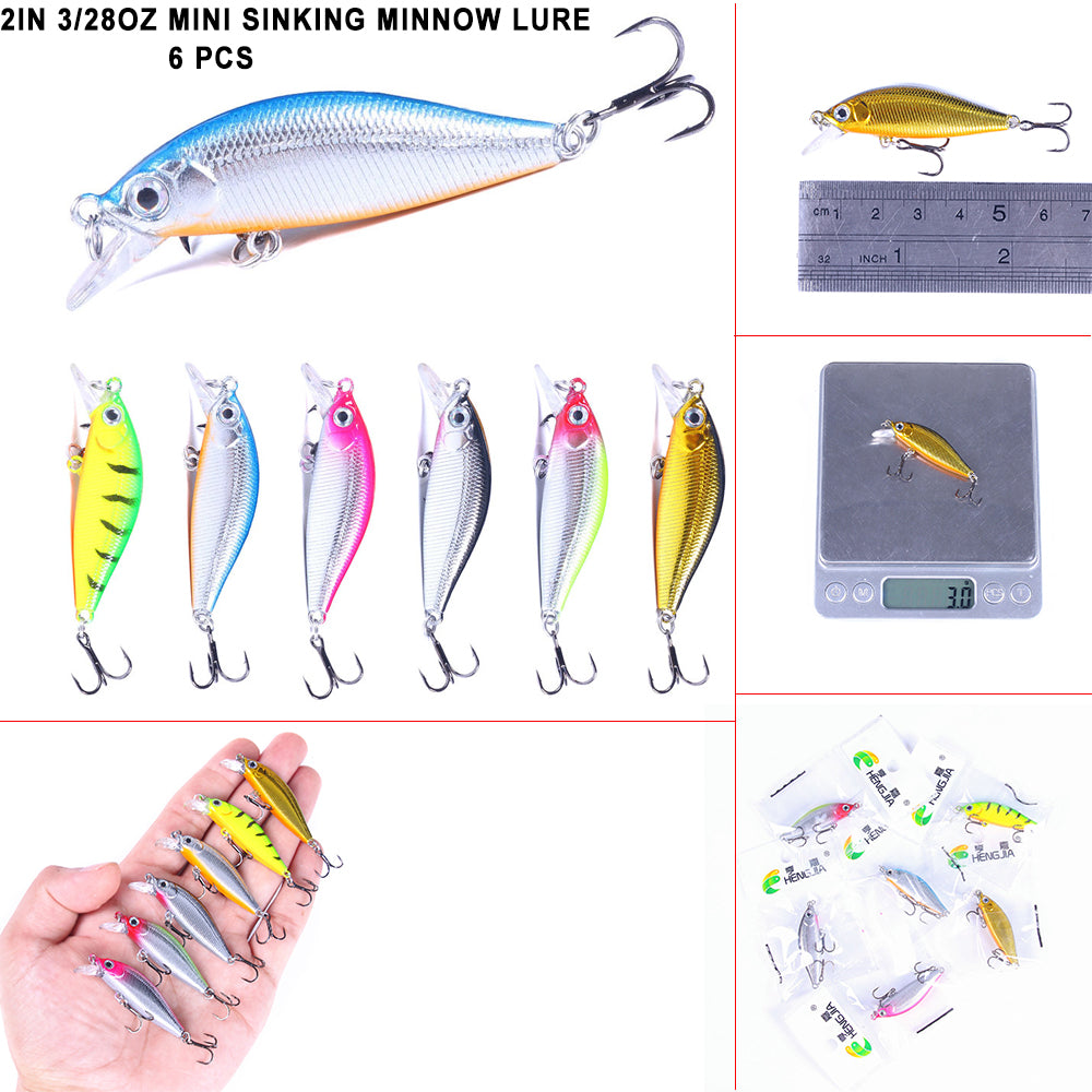 Long Lip Slender Minnow
