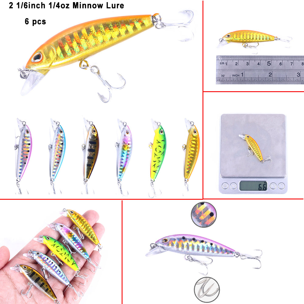 Long Lip Slender Minnow