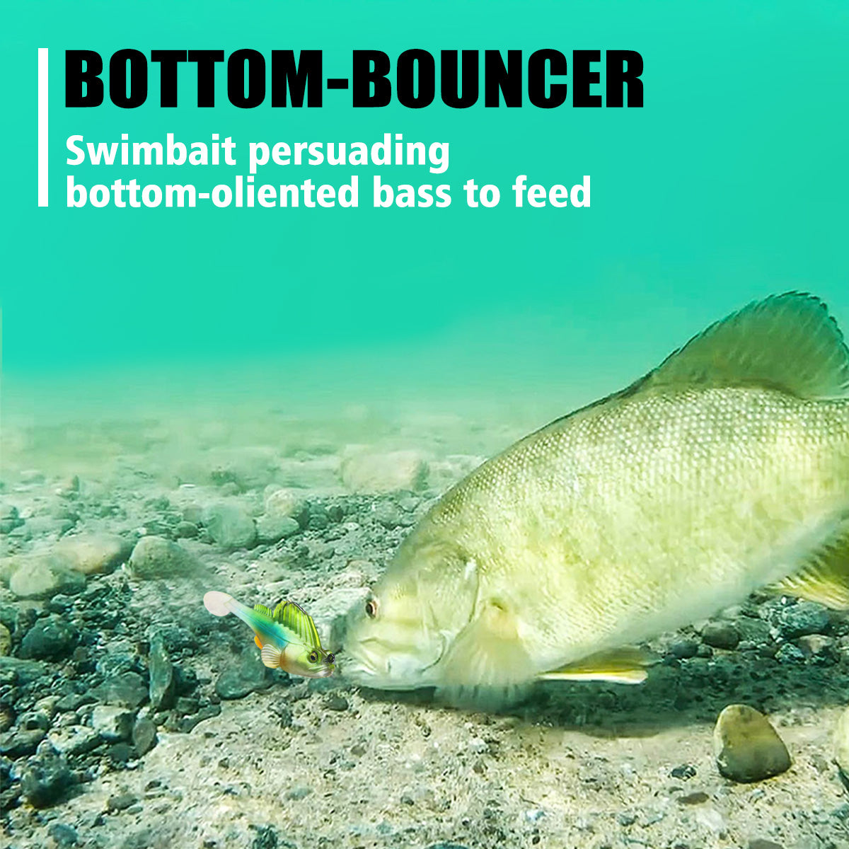 2 3/4in 1/2oz Soft Lure Bait