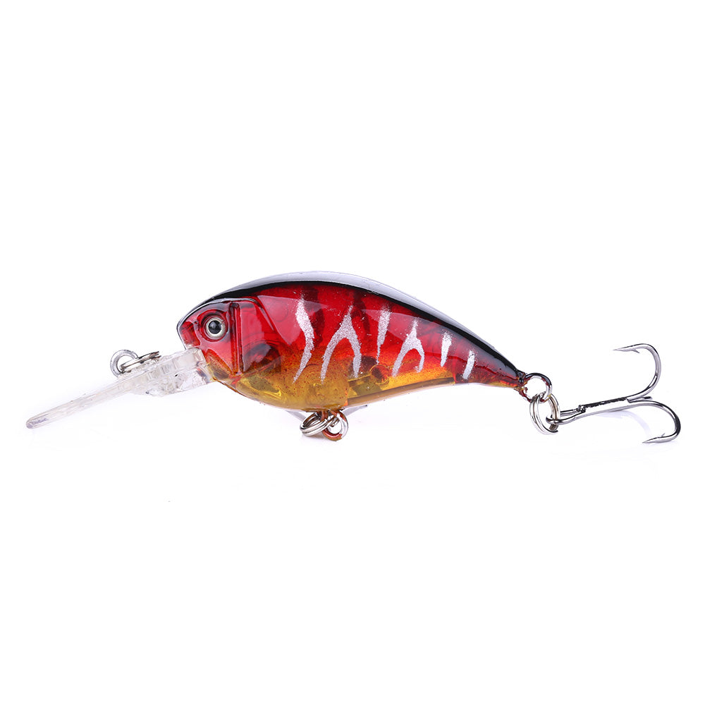 Crankbait Fishing Lure