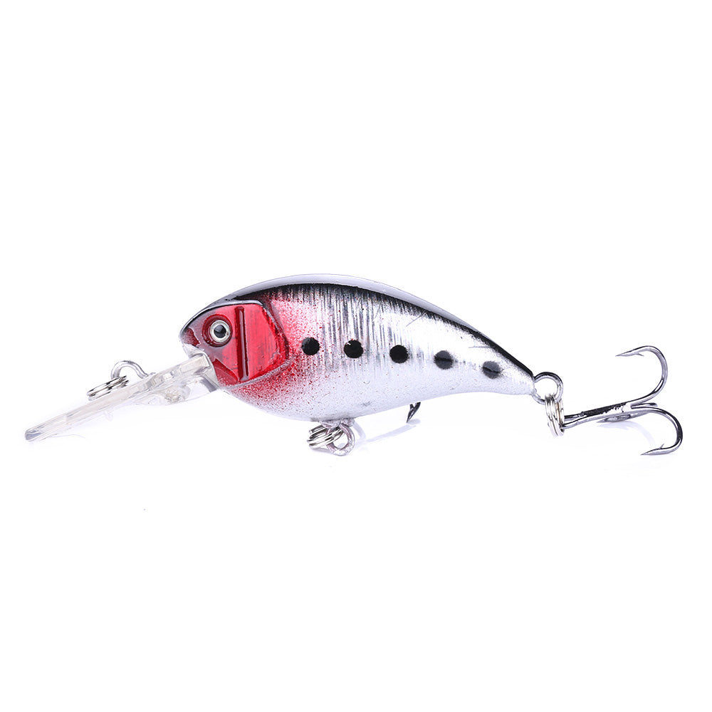 Crankbait Fishing Lure