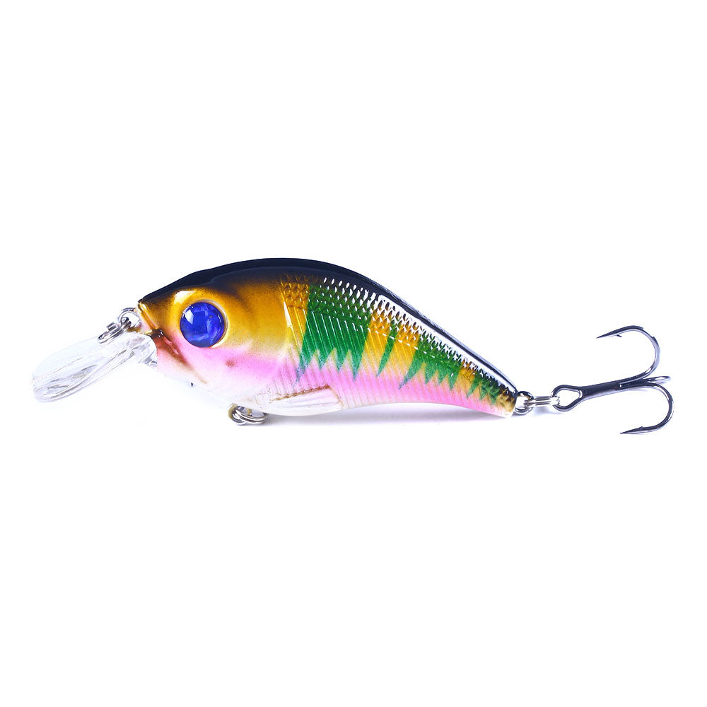Crankbait Fishing Lure