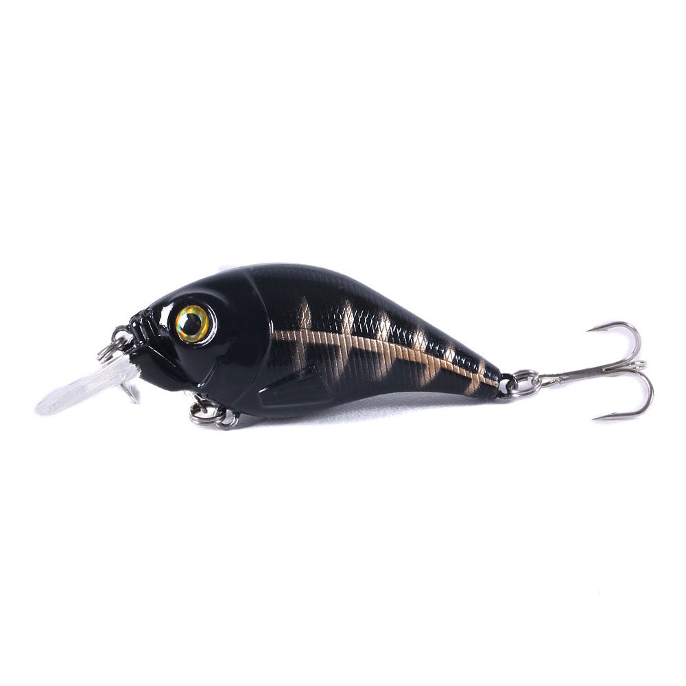 Crankbait Fishing Lure