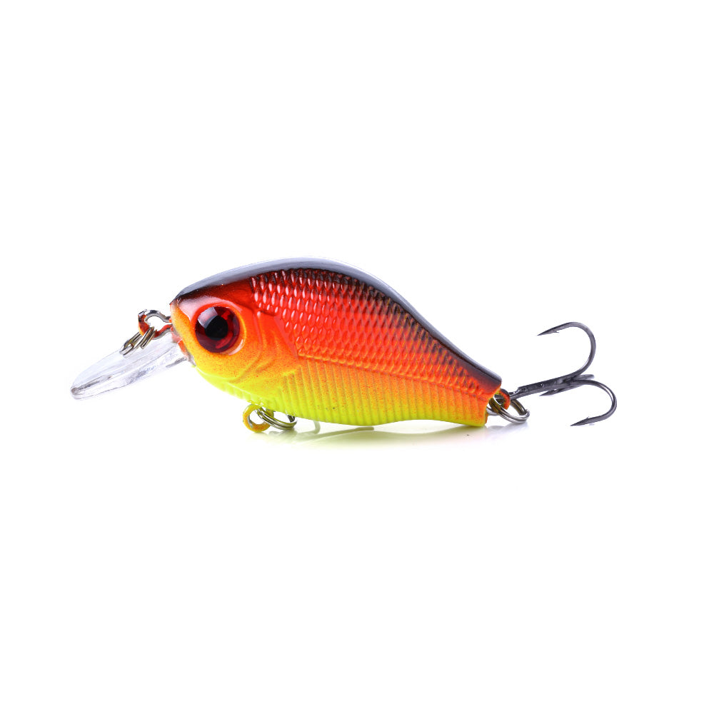 Crankbait Fishing Lure