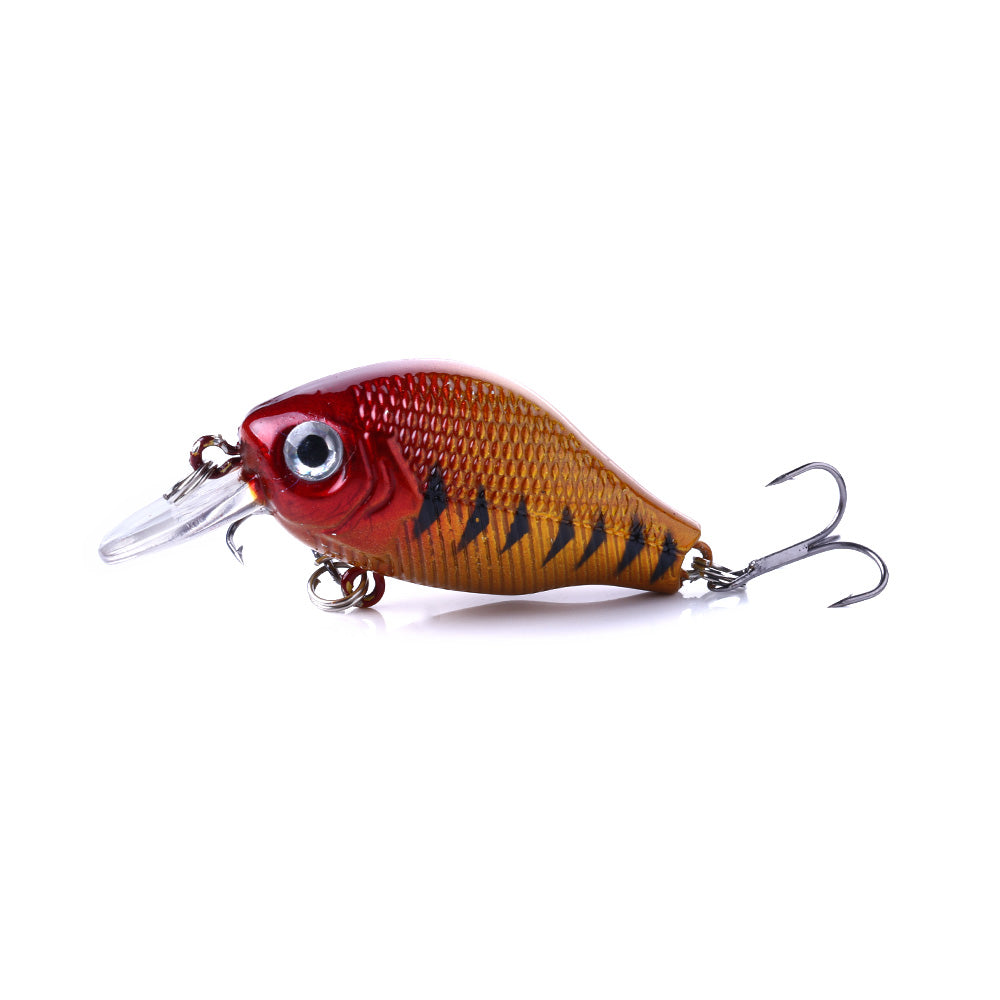 Crankbait Fishing Lure