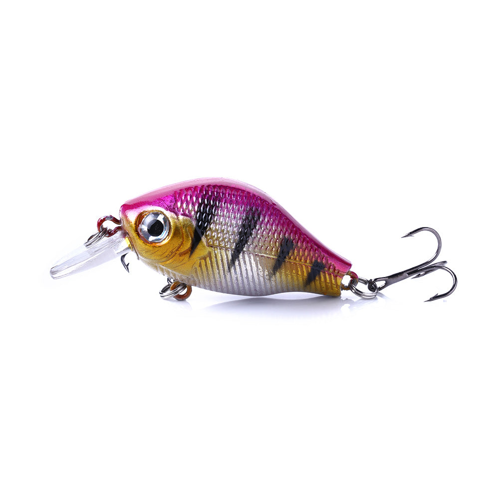 Crankbait Fishing Lure