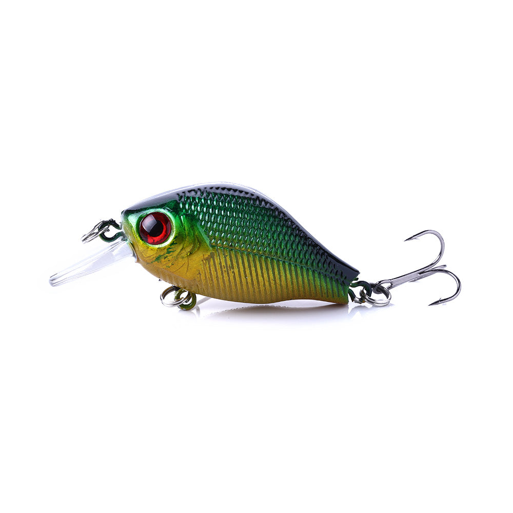 Crankbait Fishing Lure