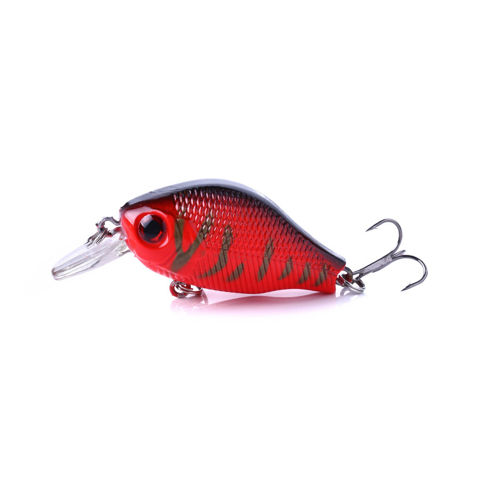 Crankbait Fishing Lure