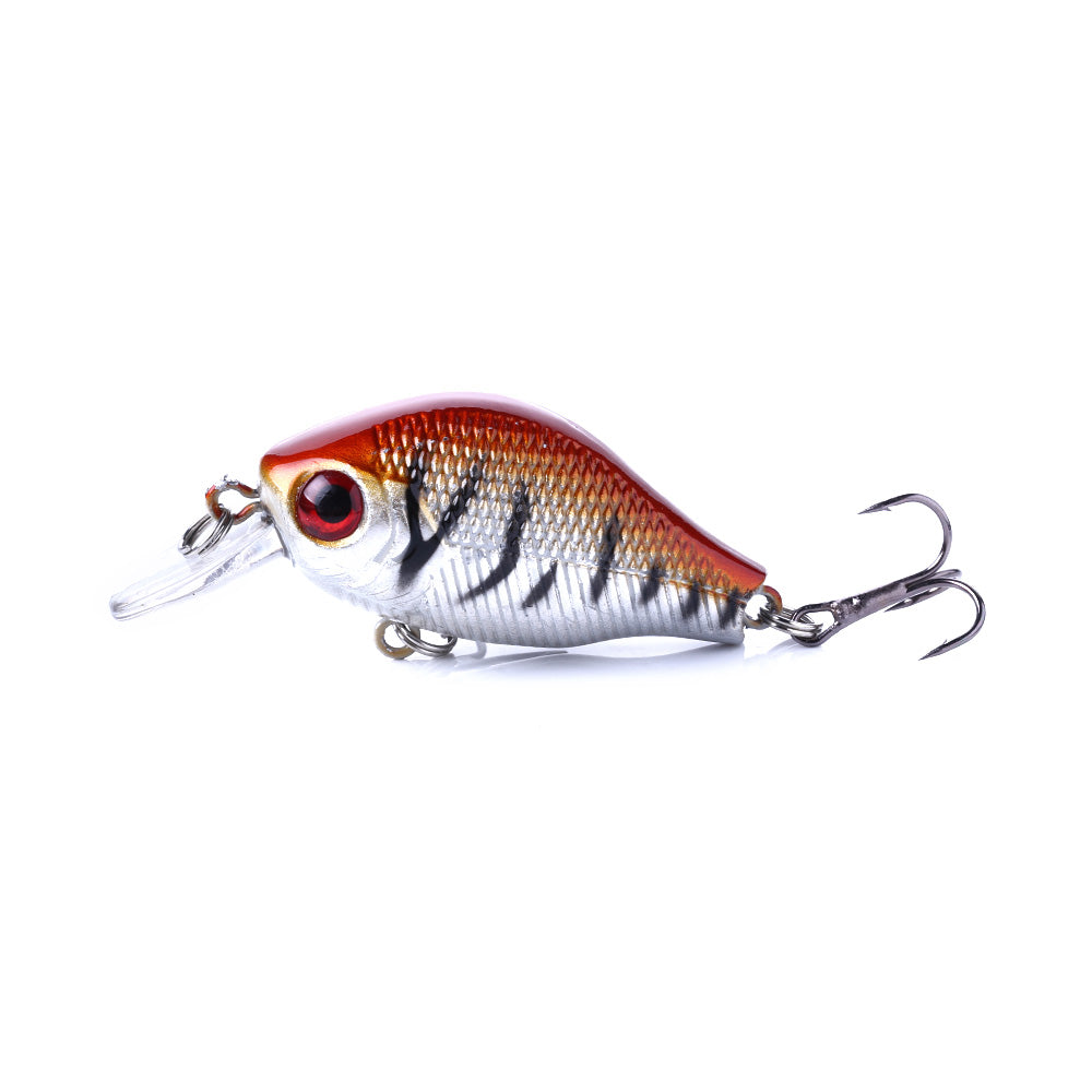 Crankbait Fishing Lure