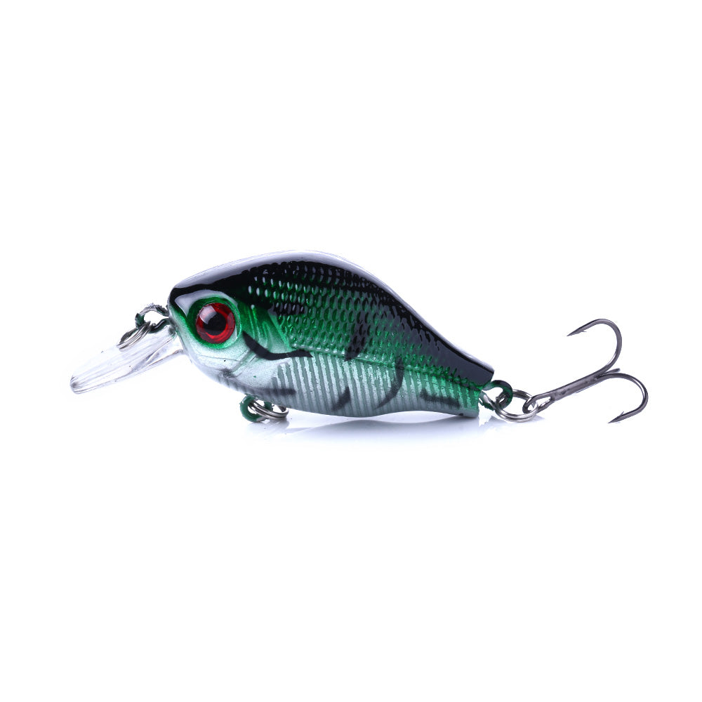 Crankbait Fishing Lure