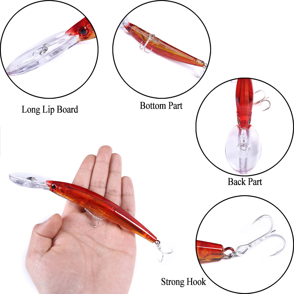 Long Lip Slender Minnow