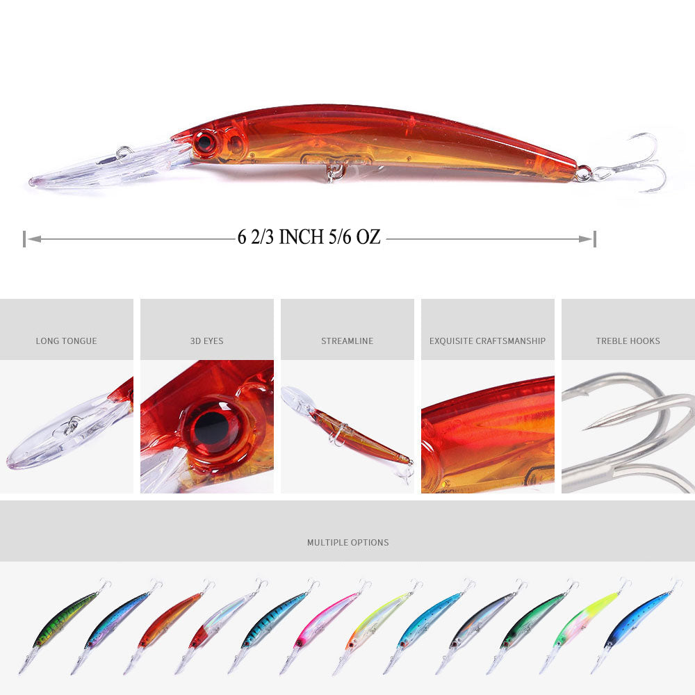 Long Lip Slender Minnow
