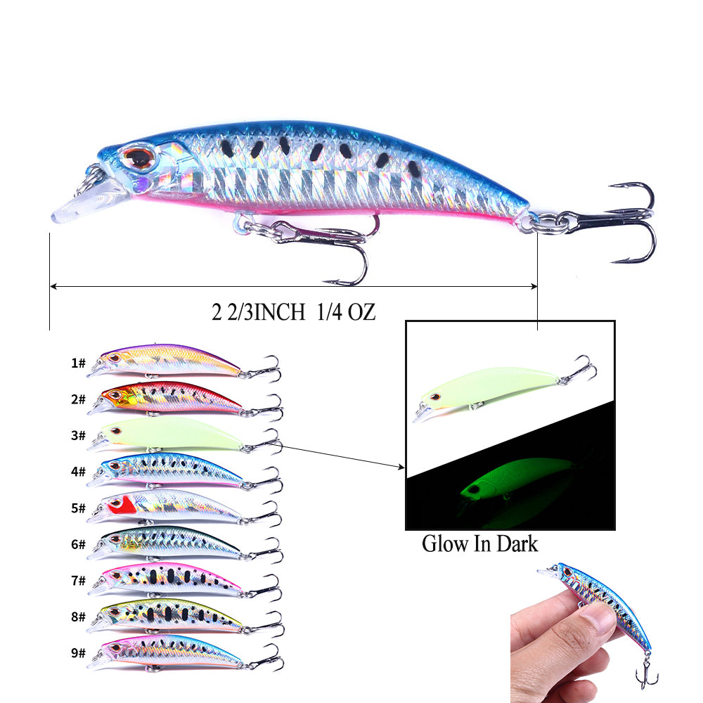 Laser Saltwater Minnow Lure Baits