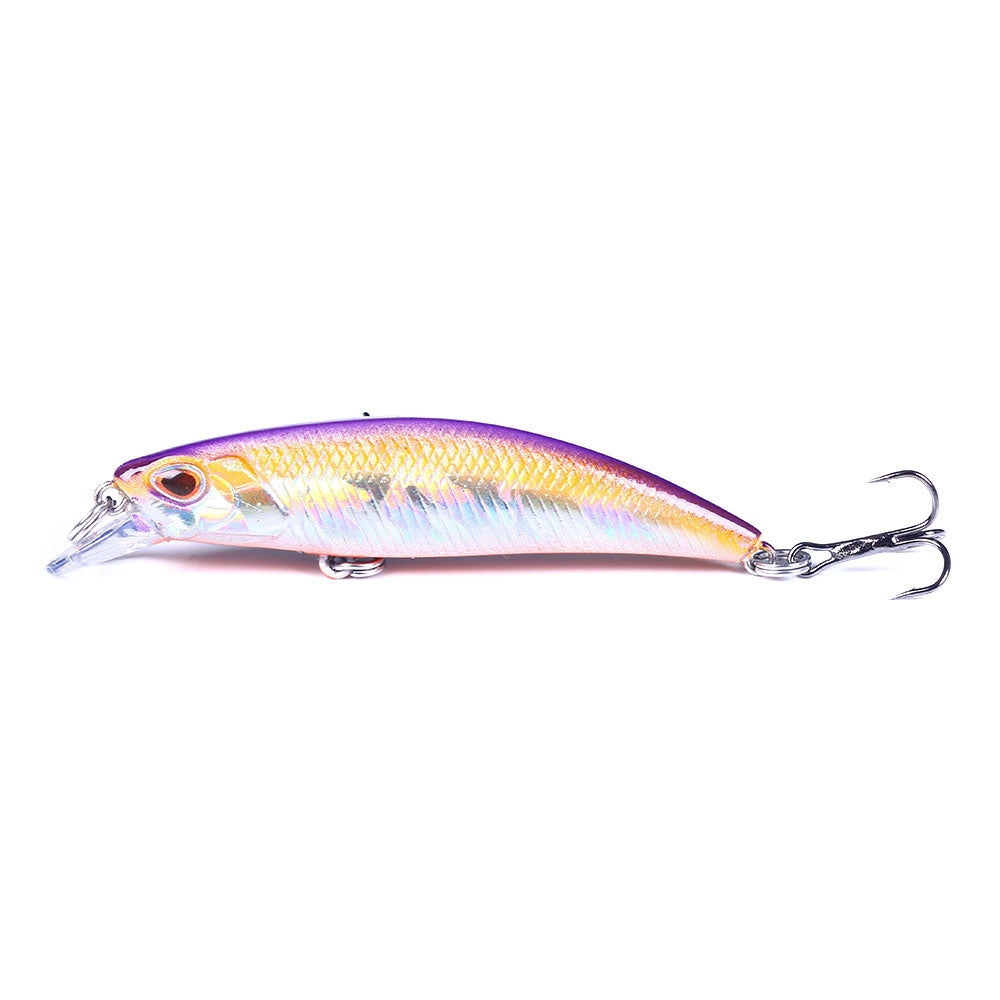 Laser Saltwater Minnow Lure Baits