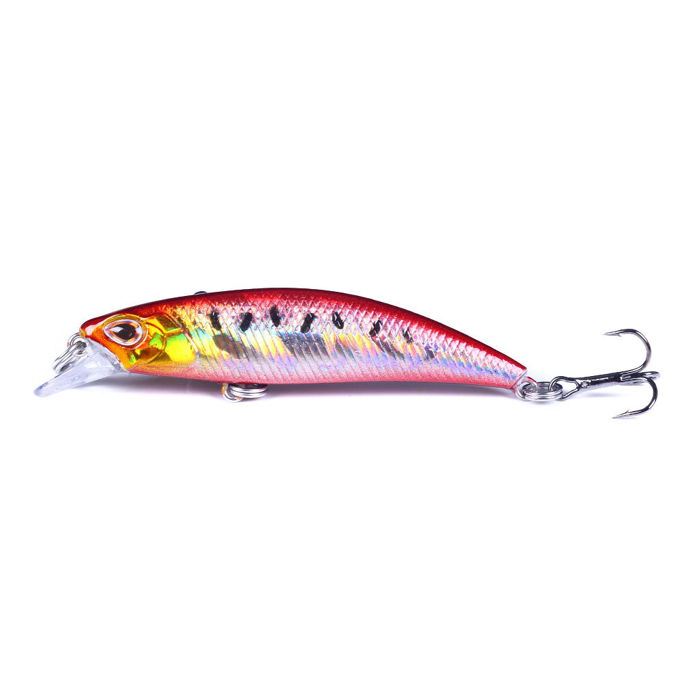 Laser Saltwater Minnow Lure Baits