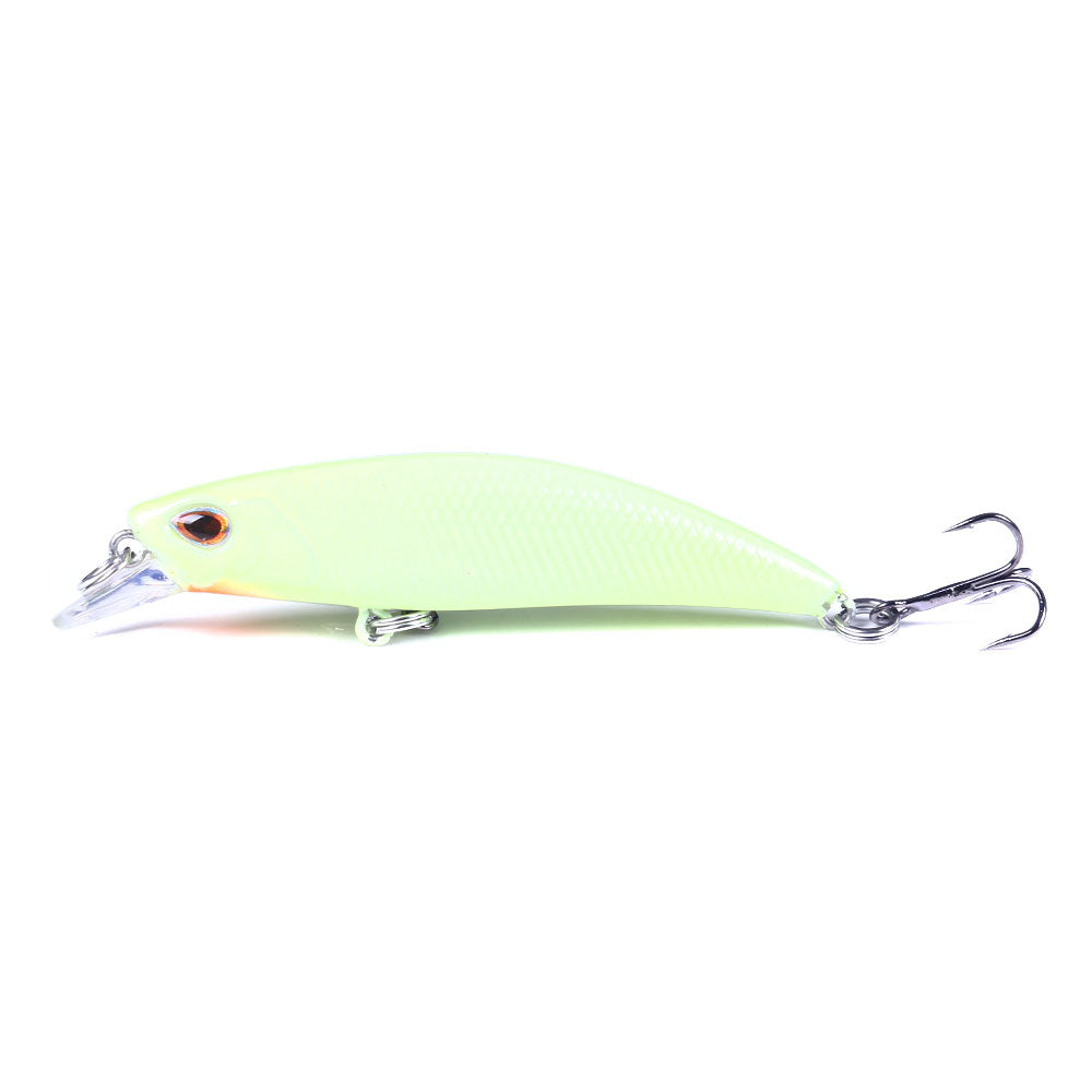 Laser Saltwater Minnow Lure Baits