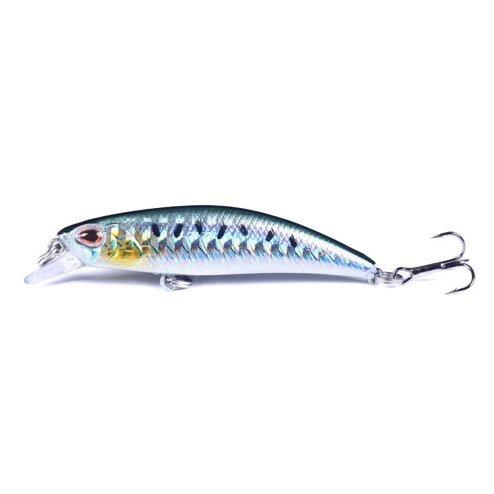 Laser Saltwater Minnow Lure Baits