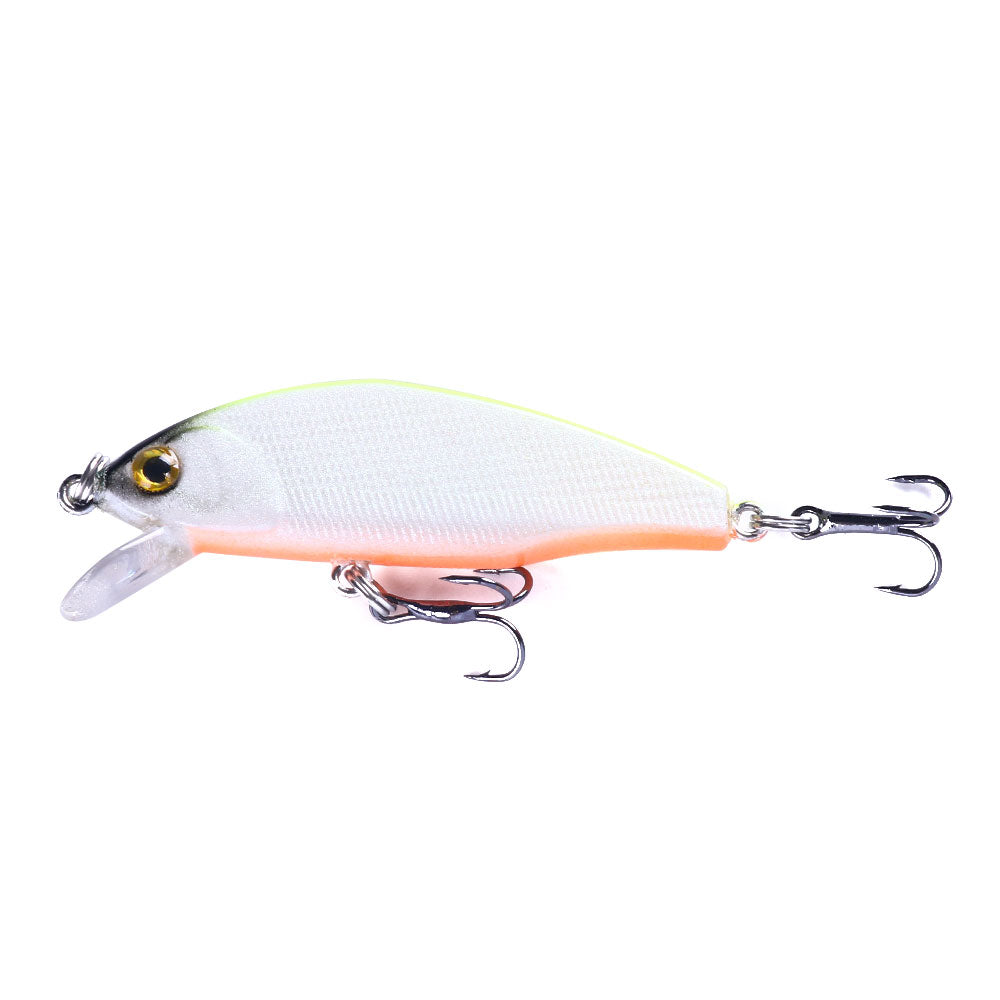 Artificial Minnow Fishing Lure for Bass