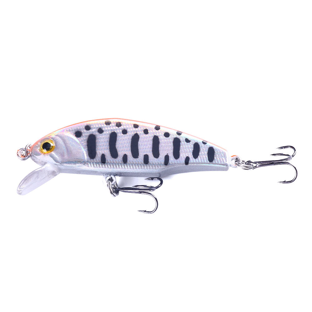 Artificial Minnow Fishing Lure for Bass