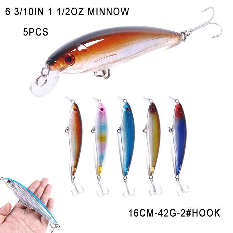 Long Lip Slender Minnow