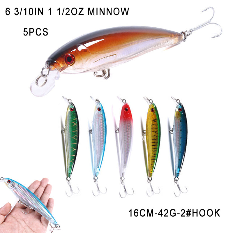 Long Lip Slender Minnow
