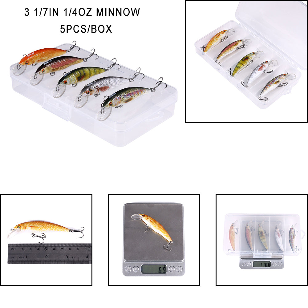 Long Lip Slender Minnow