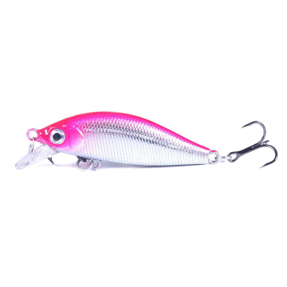 Artificial Minnow Fishing Lure for Bass
