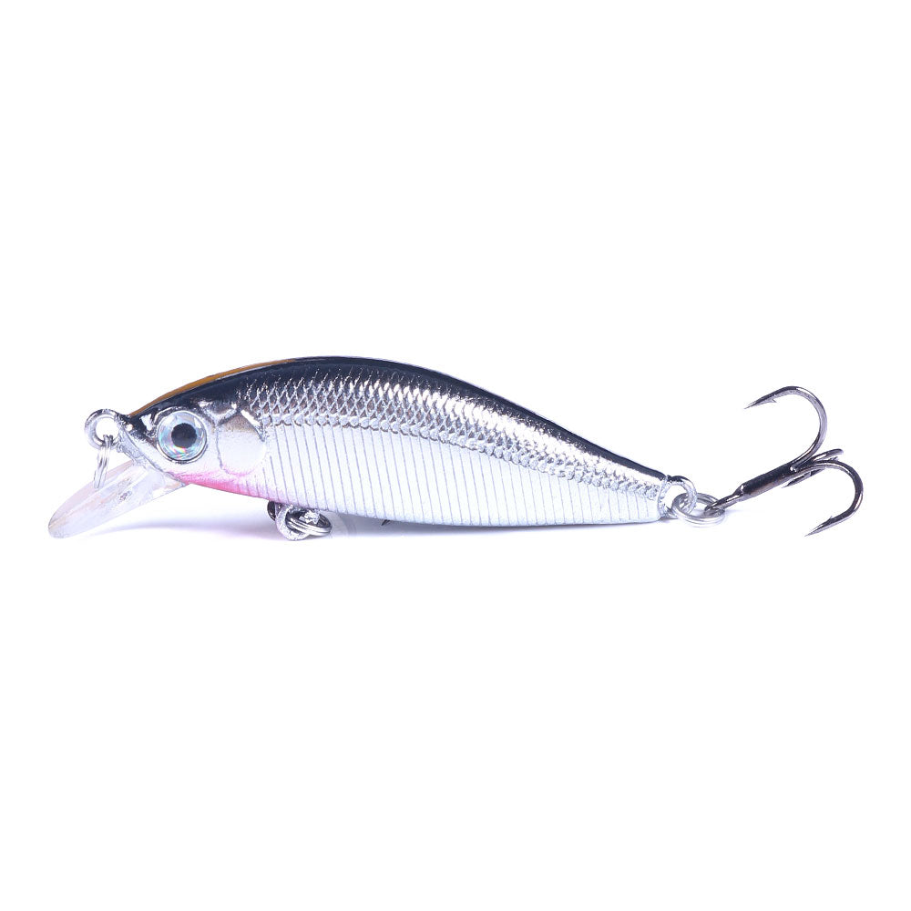 Artificial Minnow Fishing Lure for Bass