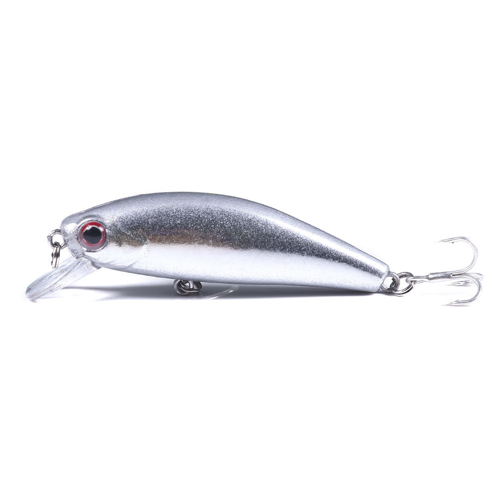 Artificial Minnow Fishing Lure for Bass
