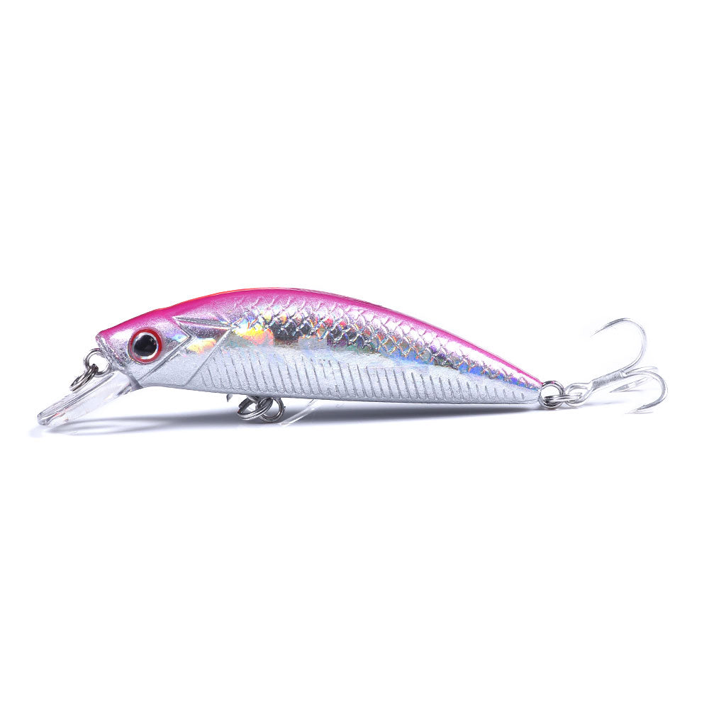 Artificial Minnow Fishing Lure for Bass