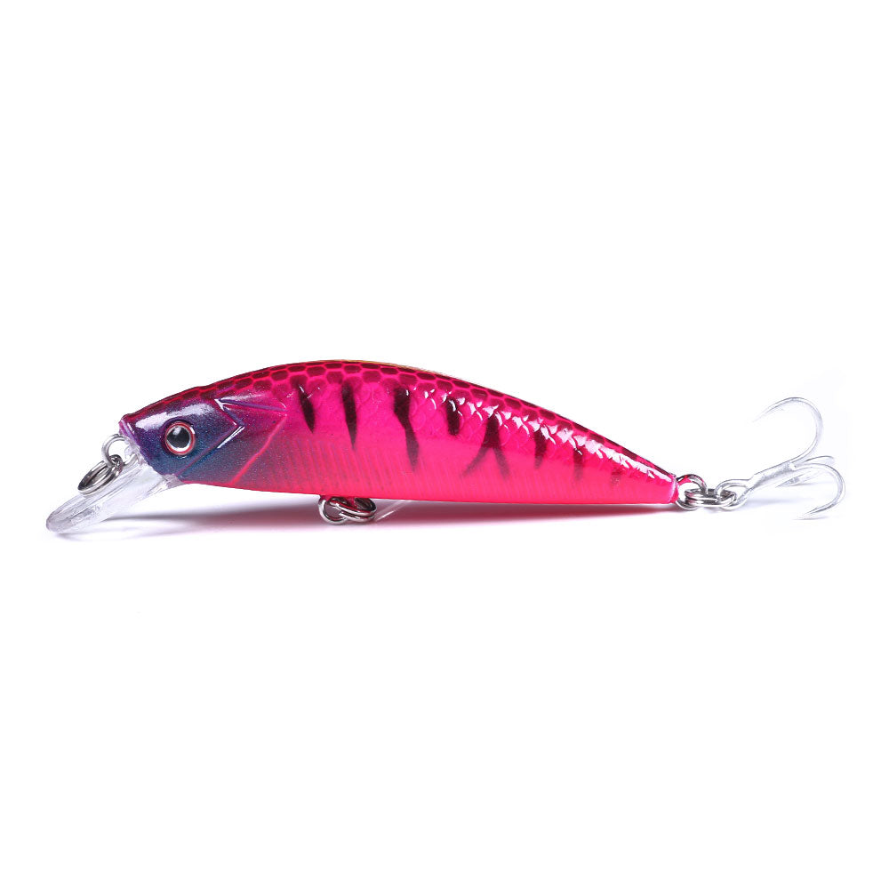 Artificial Minnow Fishing Lure for Bass
