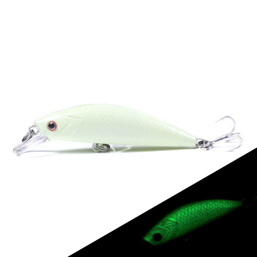 Artificial Minnow Fishing Lure for Bass