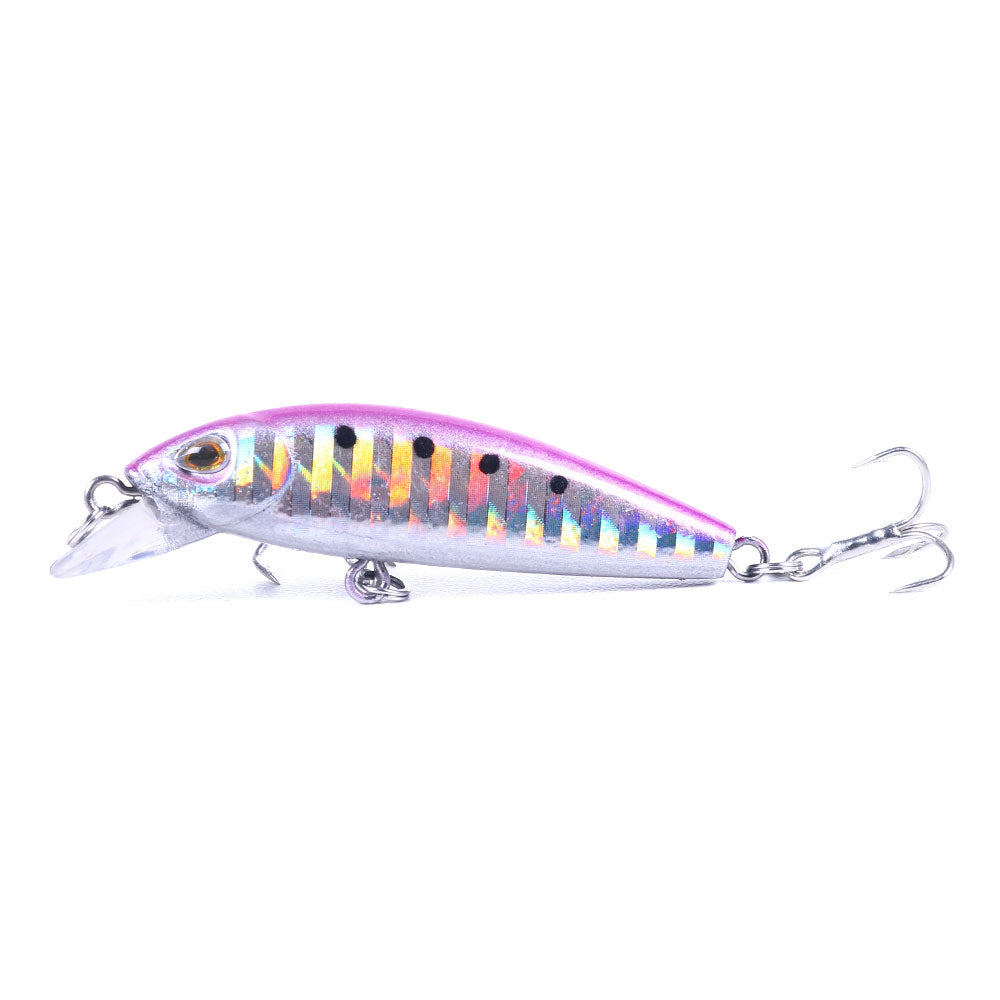 Artificial Minnow Fishing Lure for Bass