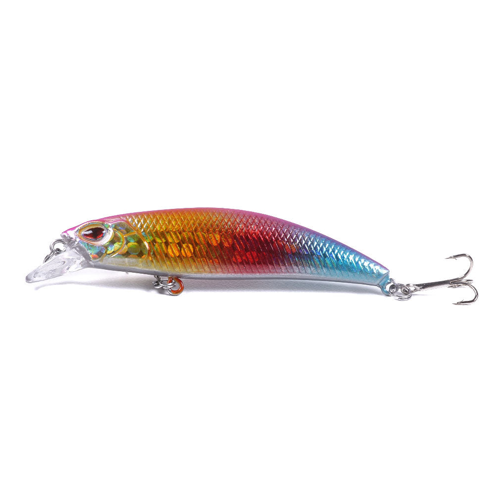 Artificial Minnow Fishing Lure for Bass