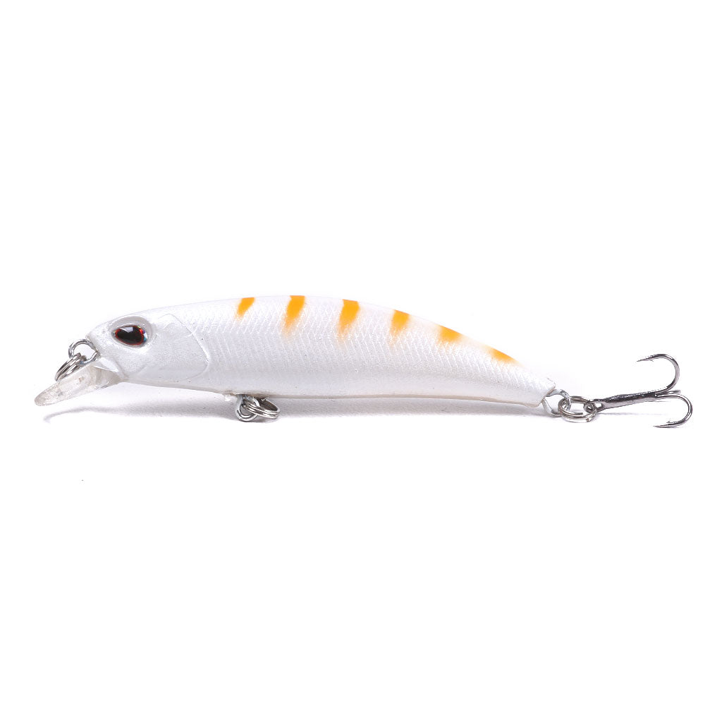 Artificial Minnow Fishing Lure for Bass