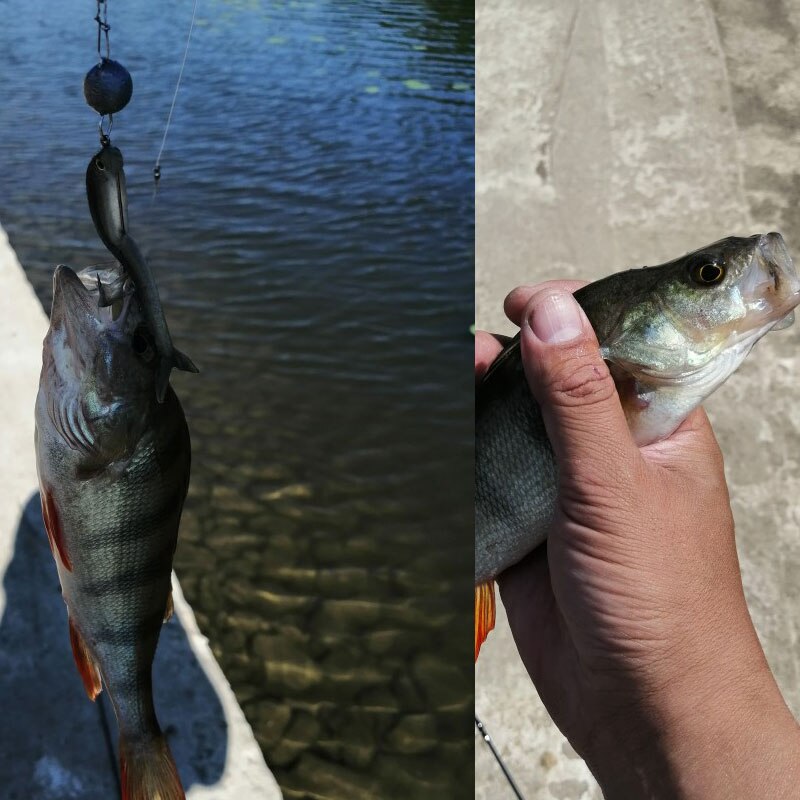 3 1/7in 1/16oz Soft Silicone Lure 10pcs