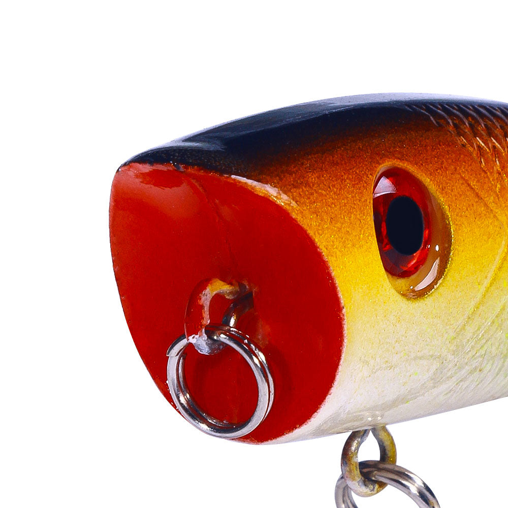 Buy RS6 Popper Fishing Lure, Top Water Baits for Bass Fishing