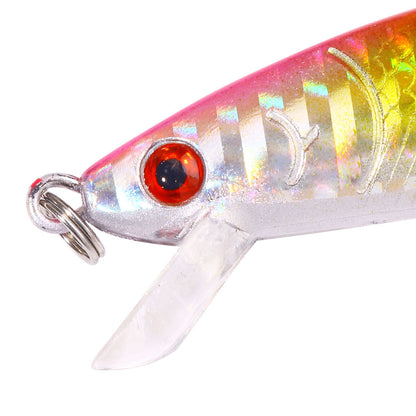 HENGJIA 10CM 8.8G Minnow Lure M178I